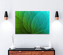 Obraz Štruktúra listu 1897